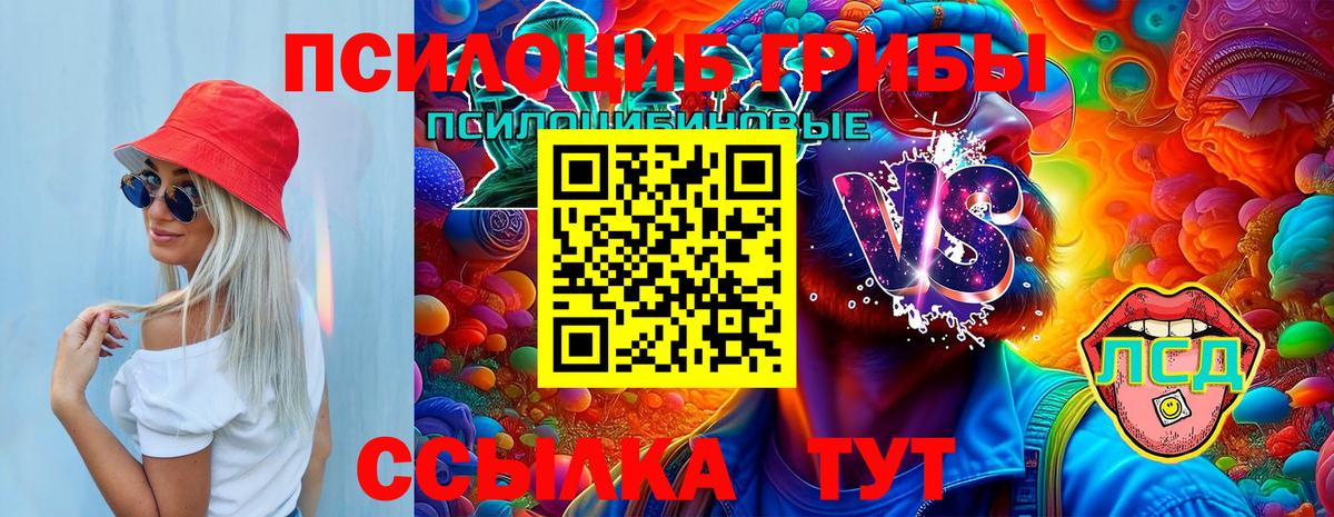 Сорочинск  Галлюциногенные грибы прущие грибы  купить закладку  Вход с VPN  Псилоцибиновые грибы Cubensis 
